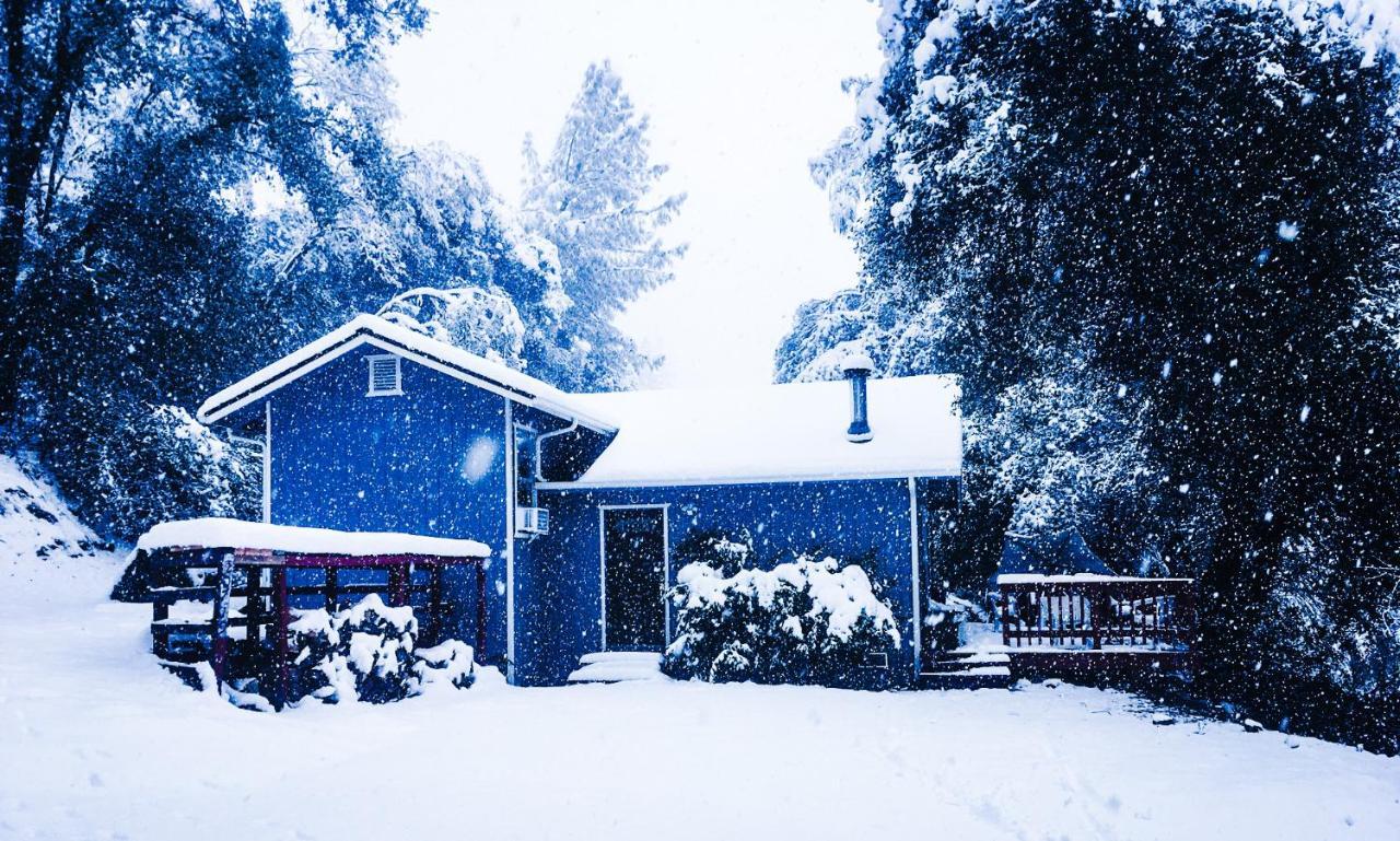 New! Cozy & Secluded House W/Deck - Near Yosemite! Villa Tuolumne Bagian luar foto
